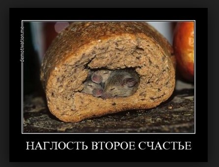 Наглость второе счастье