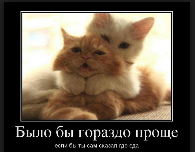 Было бы гораздо проще, если ты сам скажешь где еда