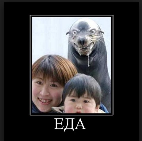 Еда